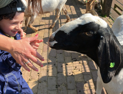 Op de kinderboerderij